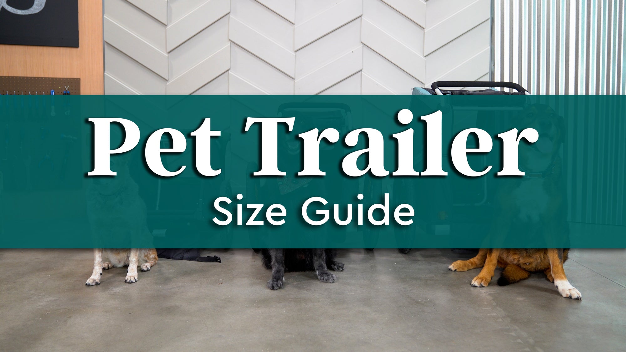 Pet Trailer Size Guide