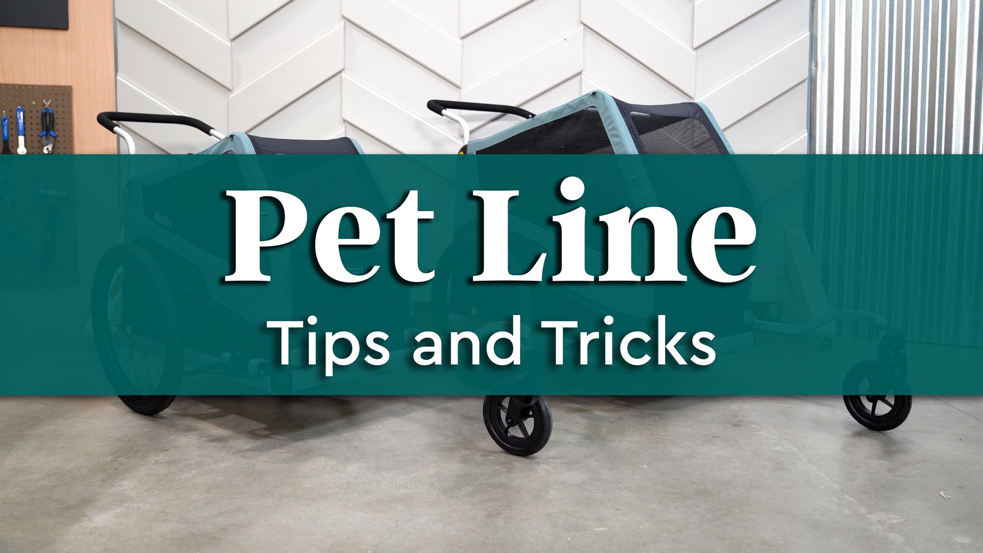Pet Line Tips and Tricks (FAQ's)