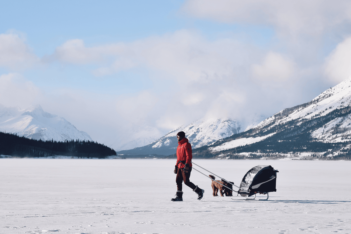 Snow-Ready Performance