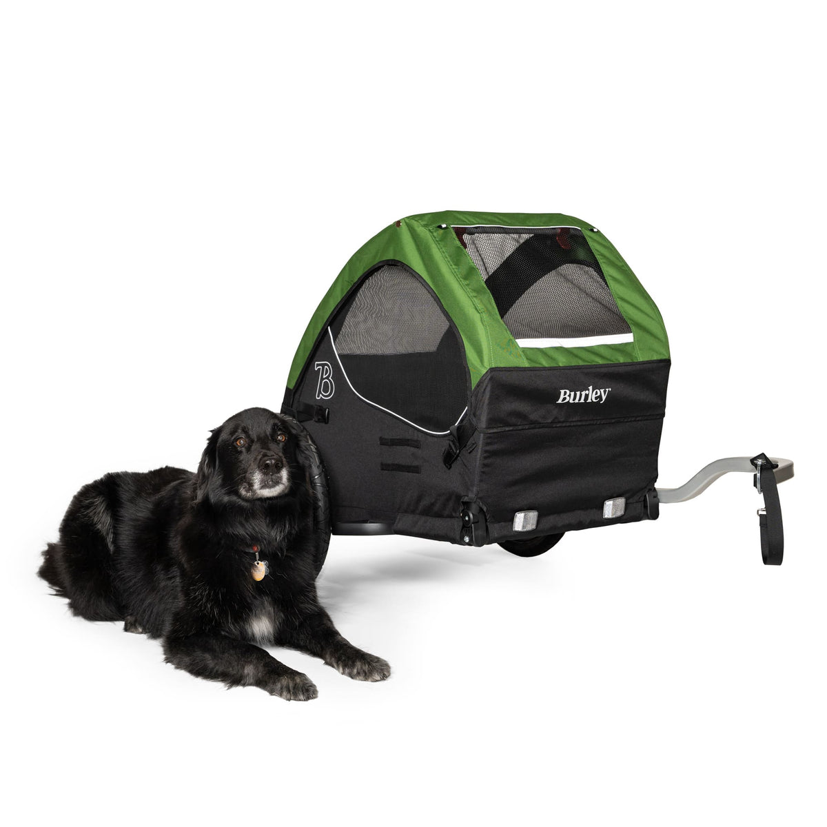 Burley Tail Wagon®, 2022 Pet Trailer