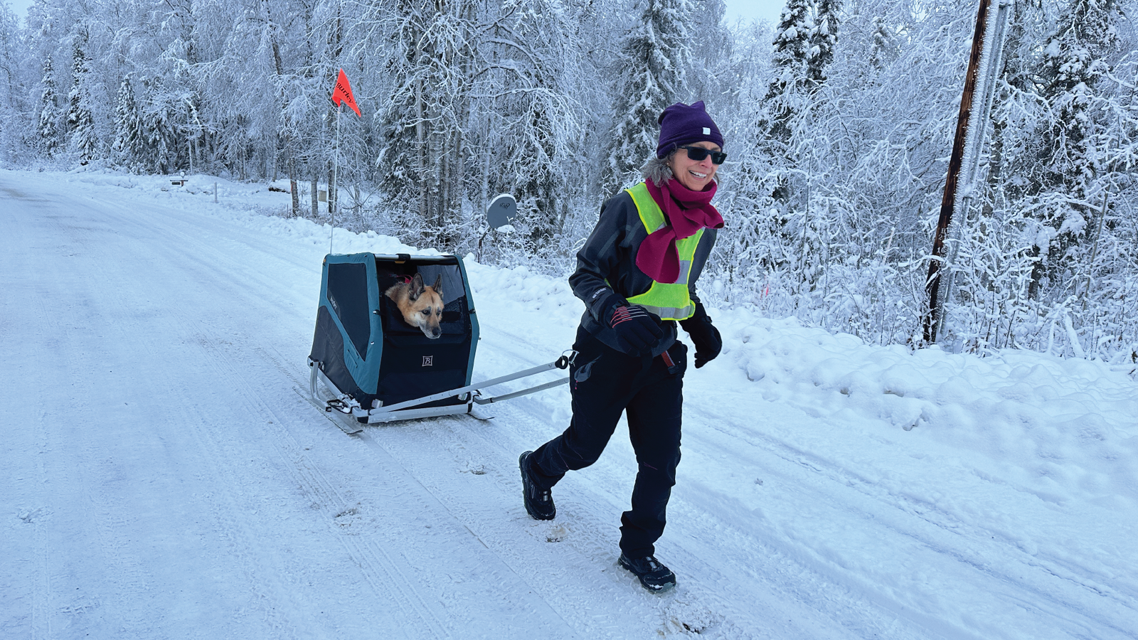 Burley Ski Kit Review