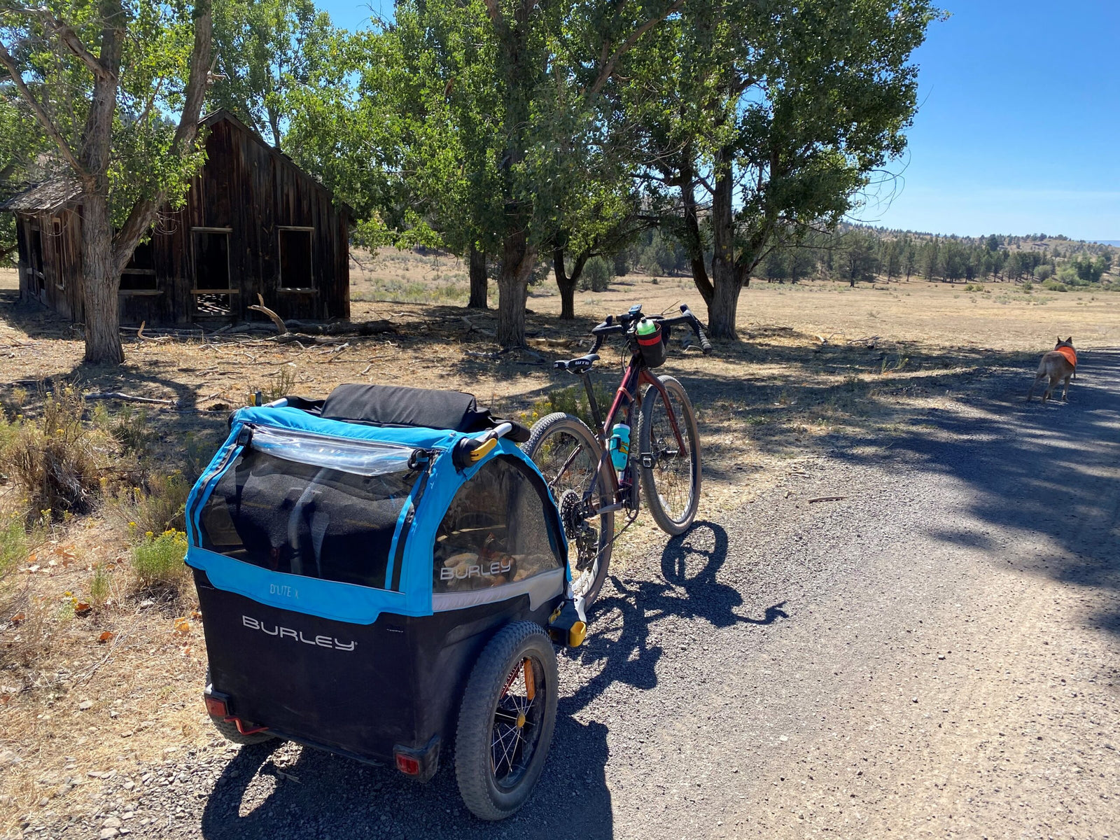 From Pregnancy to Cycling with Kids - Part 3