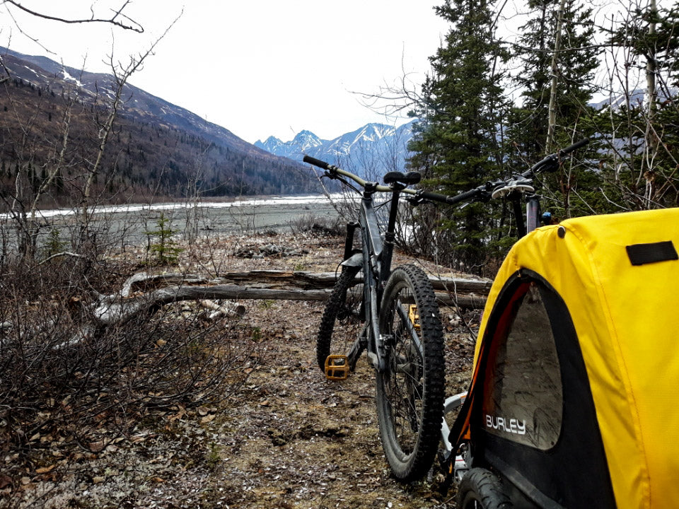 bike with Burley Bee kid bike trailer attached facing mountain lake