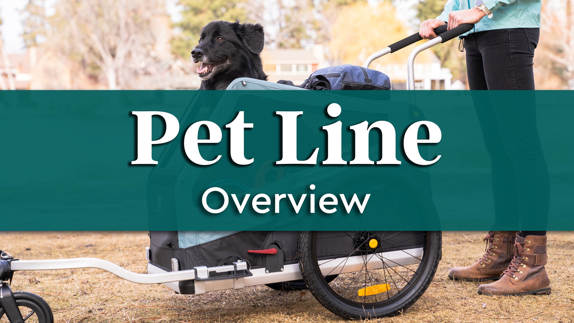 Pet Line Overview