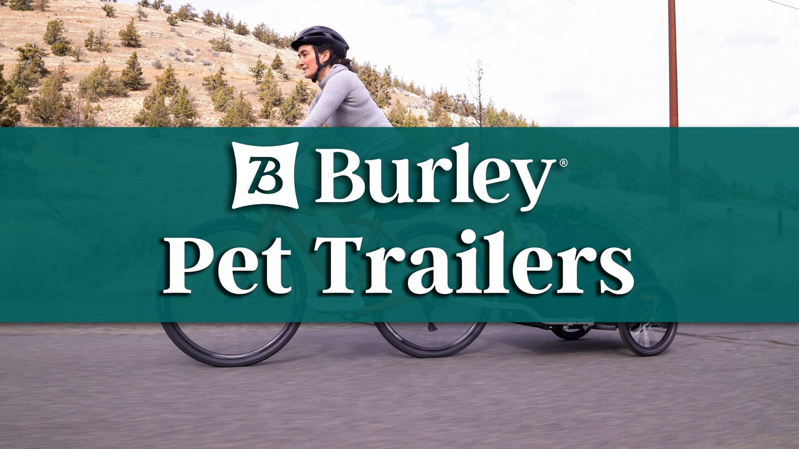 Pet Trailer Line Lifestyle
