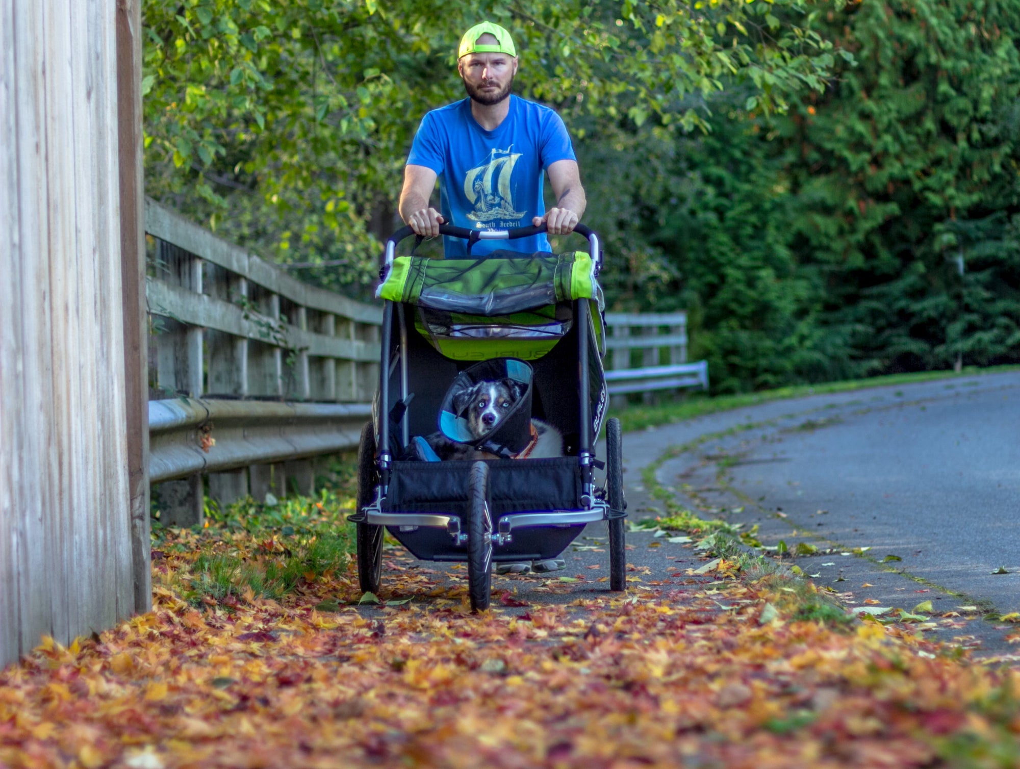 man pushing dog in stroller down path with autumn leaves in background