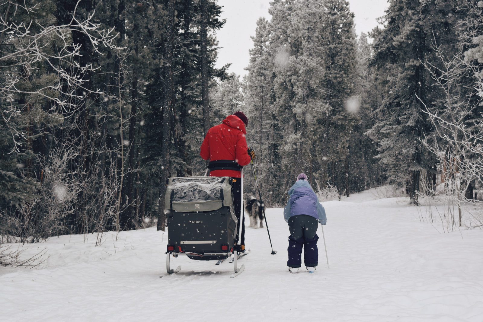 Best Bike Trailers for Snow & Winter Riding
