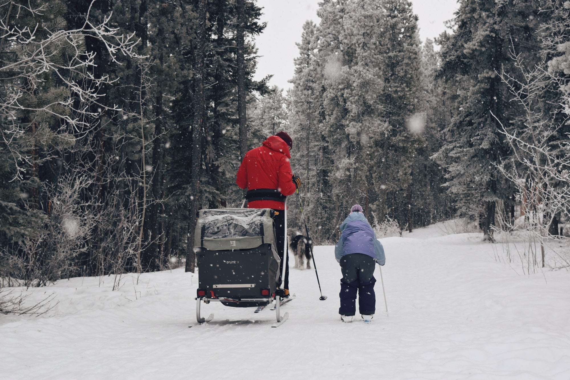 Best Bike Trailers for Snow & Winter Riding