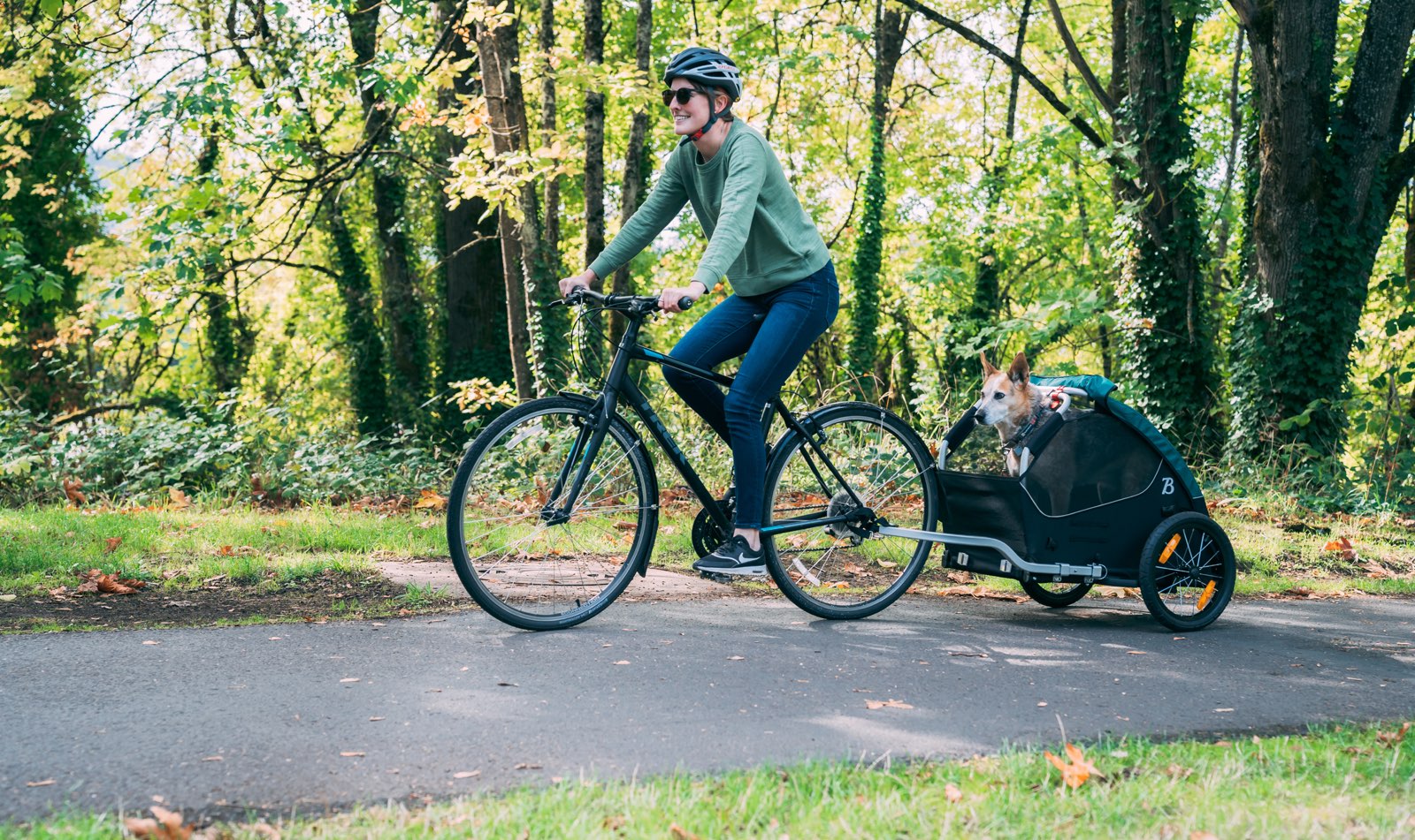 Reflecting on 5 Years at Burley