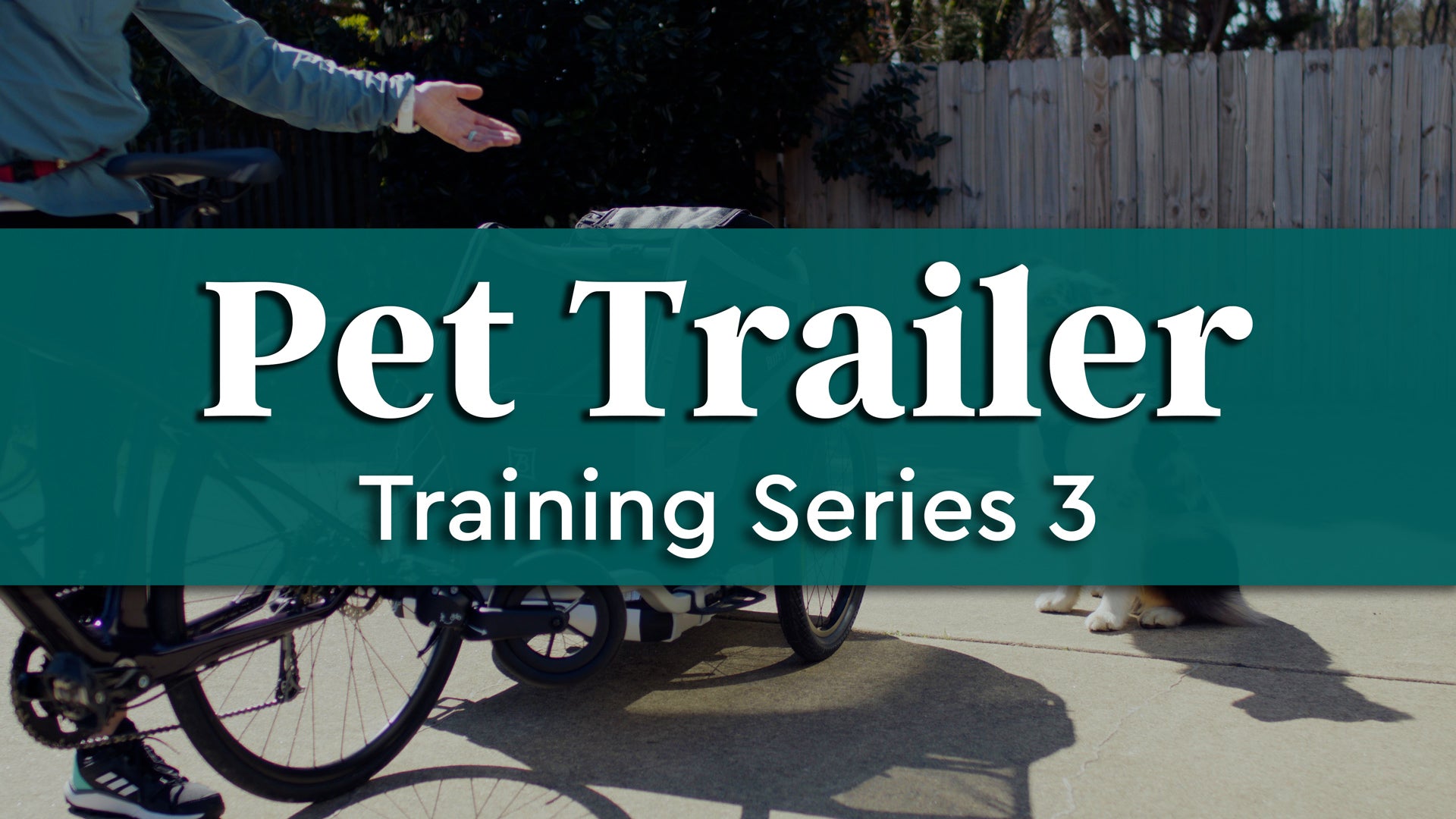 Pet Trailer Training Series - Video 3