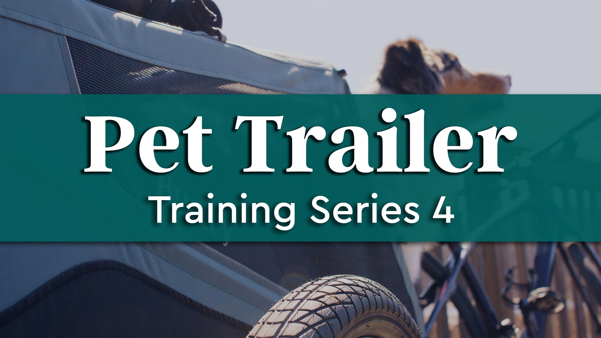 Pet Trailer Training Series - Video 4