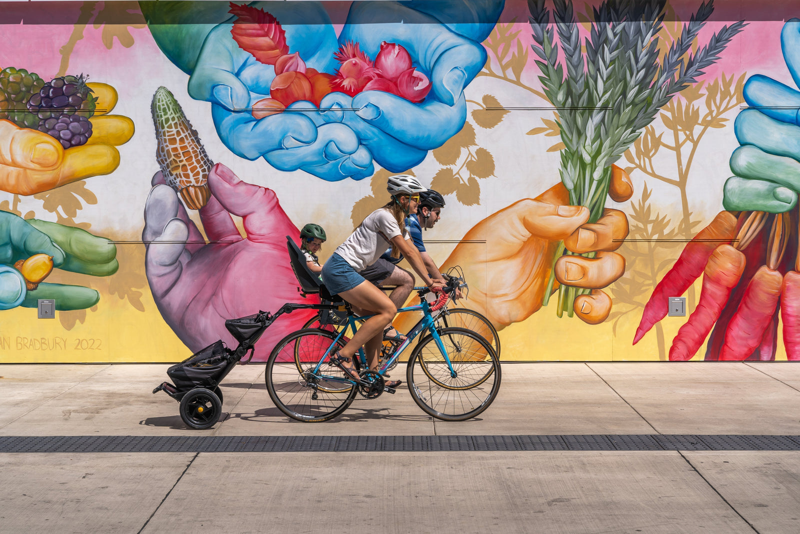 Burley Travoy Review: My Most Useful Bike Upgrade