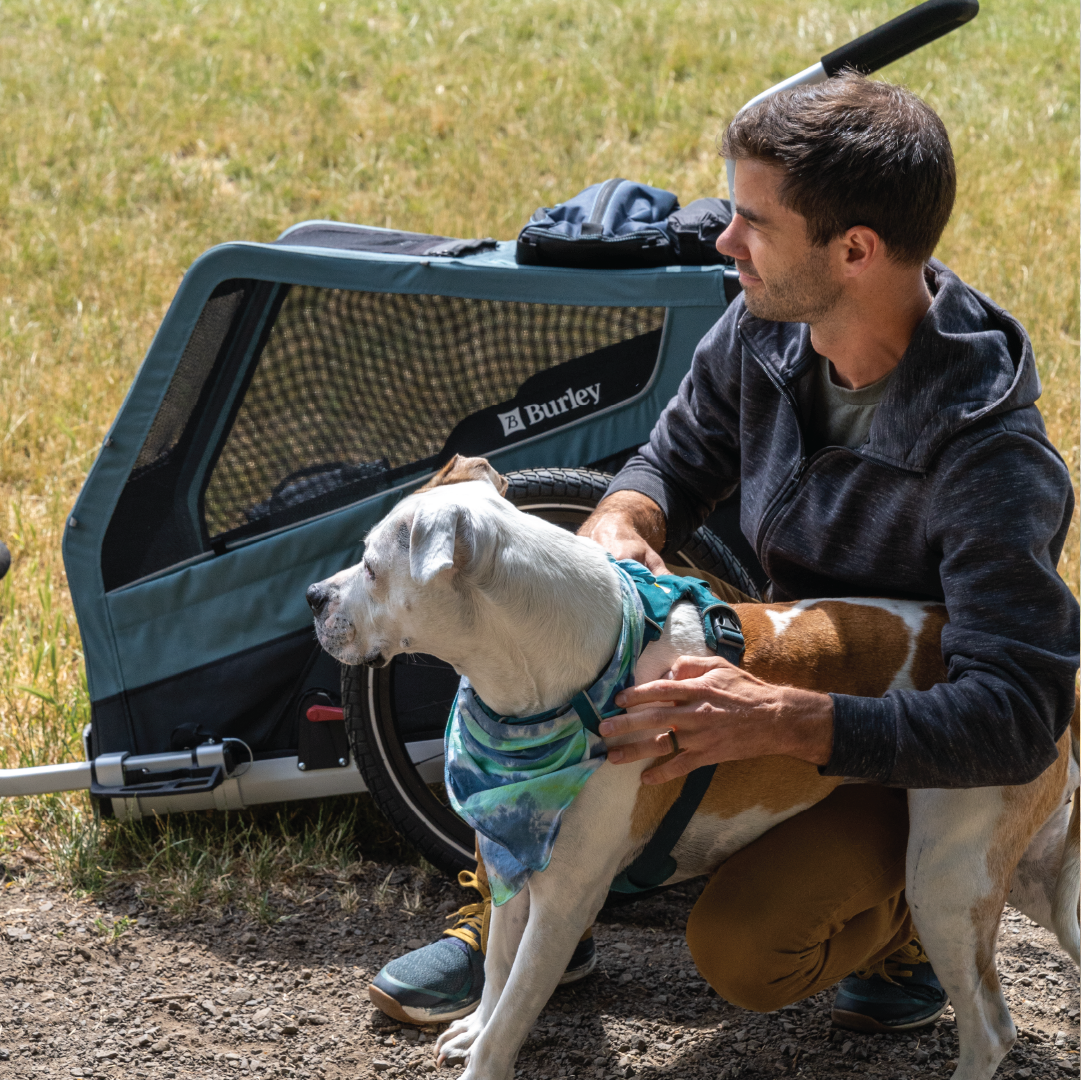 Bike Trailers & Accessories for Pets