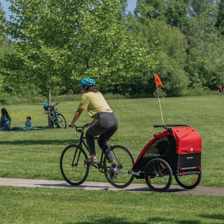 Parent biking with Burley Honey Bee at a park