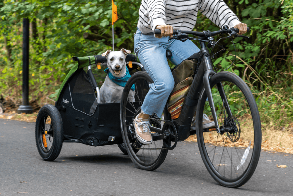 Streamlined Design for Bike-Only Use