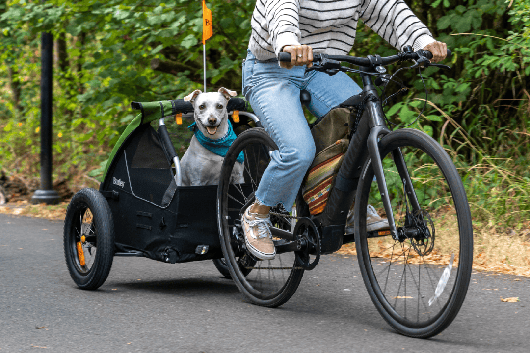 Streamlined Design for Bike-Only Use