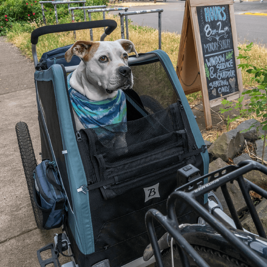 Burley Bark Ranger® Dog Bike Trailer - Burley Pet Trailer