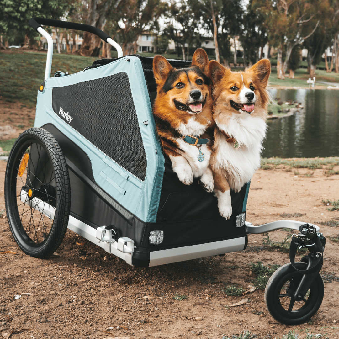 Burley Bark Ranger® Dog Bike Trailer - Burley Pet Trailer