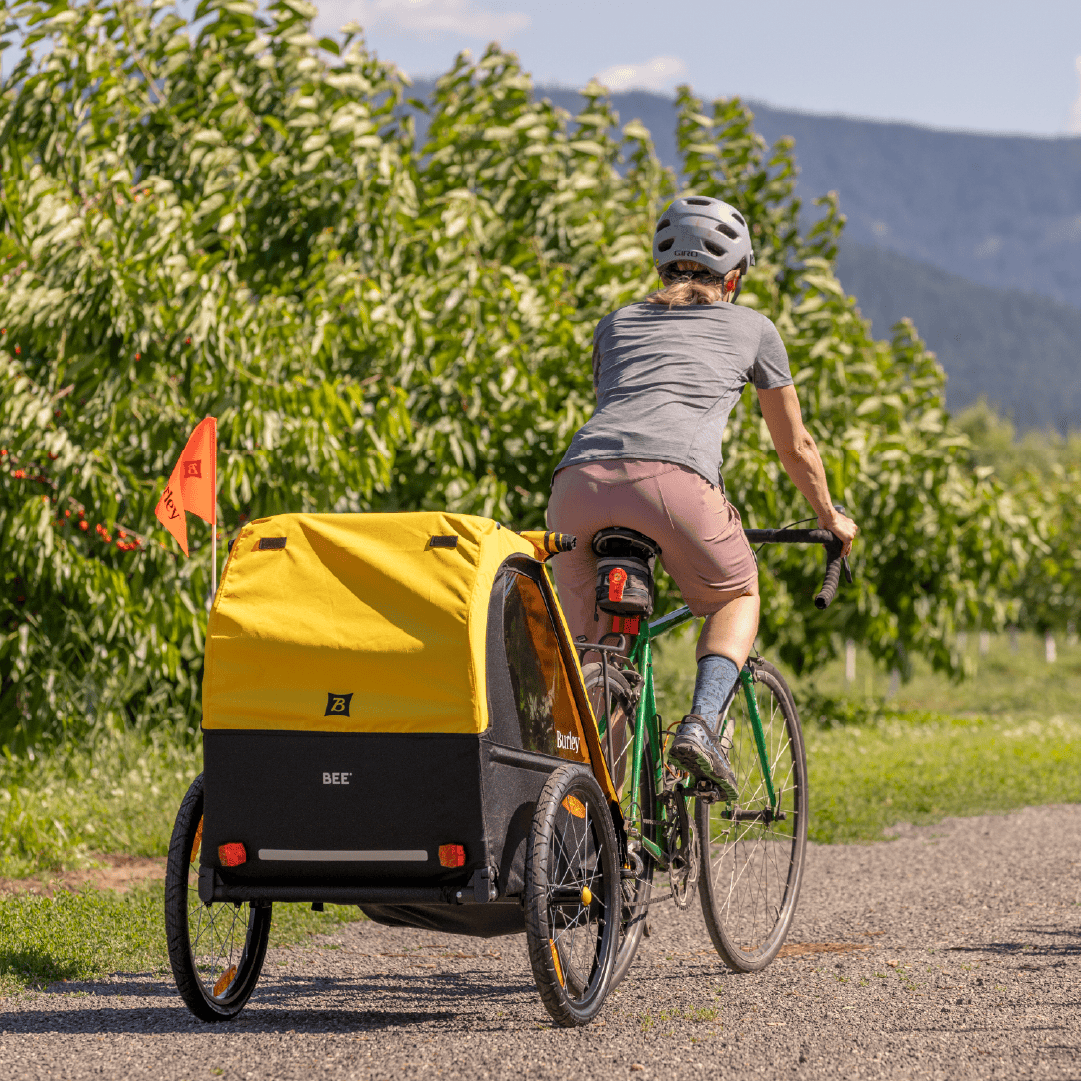 Burley Bee® Bike Trailer - Safe and Comfortable for Kids - Burley Kid Bike Trailer