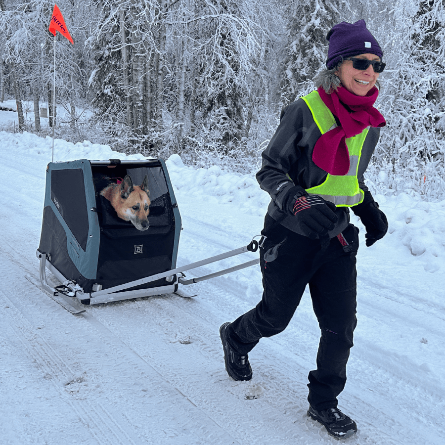 Burley Ski Kit for Burley Bike Trailers - Burley Accessories