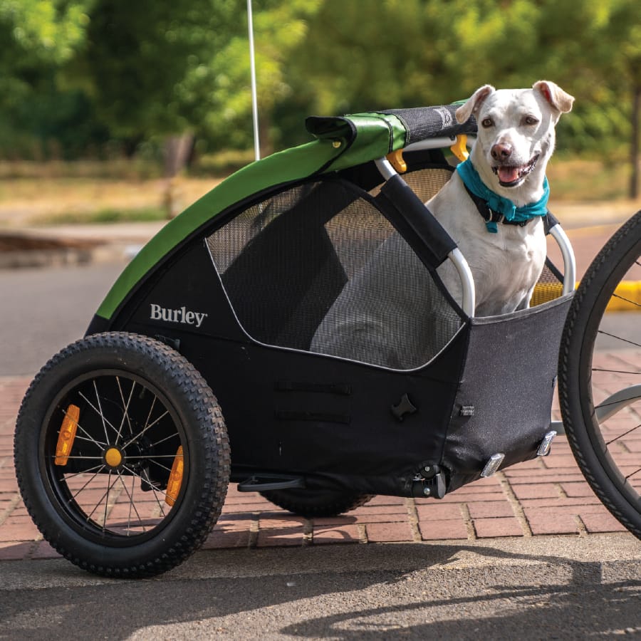 Burley Tail Wagon® Dog Bike Trailer - Burley Pet Trailer