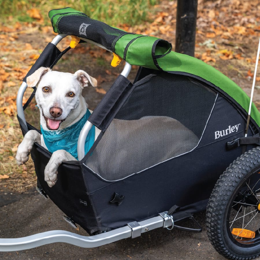 Burley Tail Wagon® Dog Bike Trailer - Burley Pet Trailer