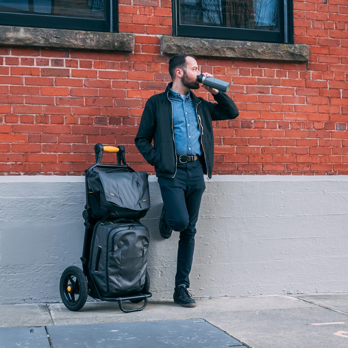 Burley Travoy Backpack - Stylish, Durable & Water Resistant - Burley Accessories
